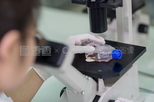 顯微鏡下的精微世界 技術(shù)人員如何通過試樣檢測(cè)保障質(zhì)量