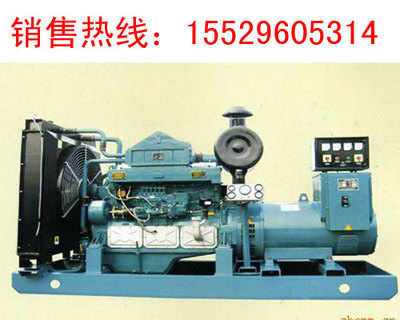 榆林柴油發(fā)電機(jī)組優(yōu)選品牌——西安洋馬機(jī)電設(shè)備有限公司的專業(yè)解決方案